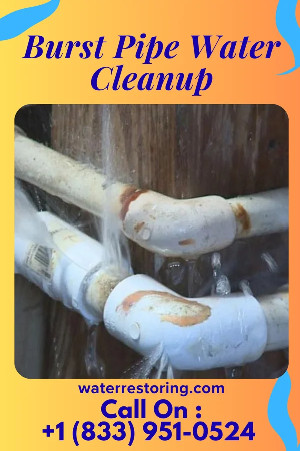 Burst Pipe Water Cleanup in Germania, NJ
