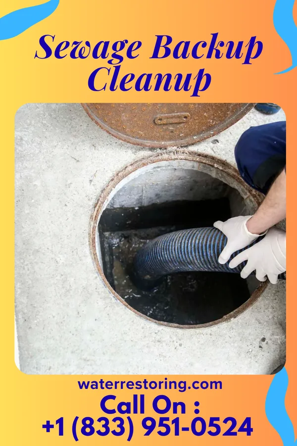 Sewage Backup Cleanup in Germania, NJ