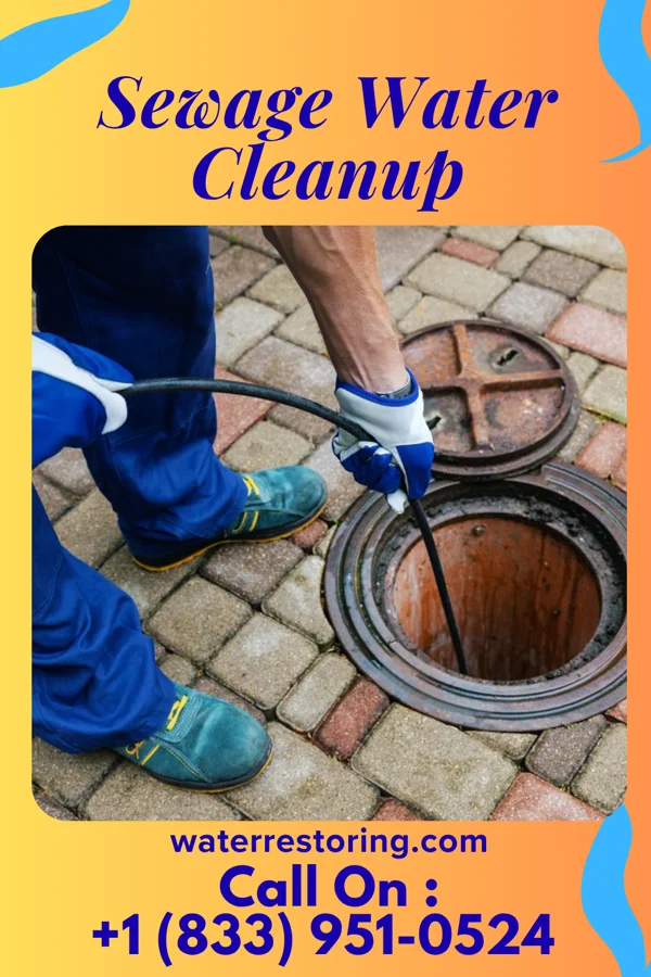 Sewage Water Cleanup in Germania, NJ