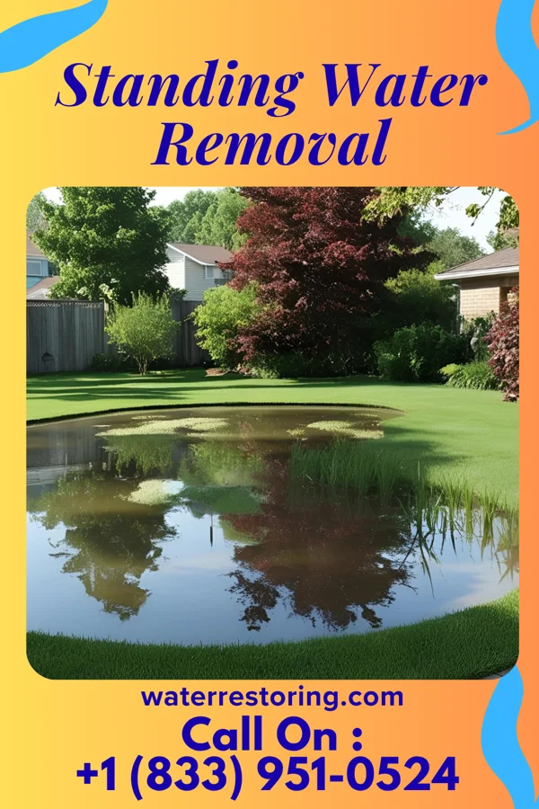 Standing Water Removal in Germania, NJ